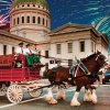 Clydesdales13