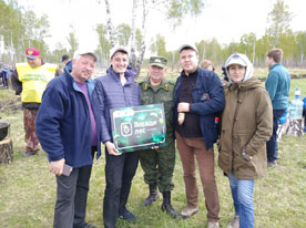 Сотрудники новосибирской пивоварни «Балтика» помогли высадить несколько тысяч сосен