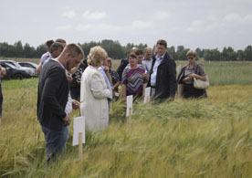Аграрии Ярославской области обсудили возможности выращивания пивоваренного ячменя в зоне Нечерноземья